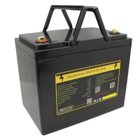 Аккумулятор LiFePO4 24v50ah 2400w max пластик